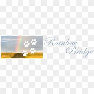 Rb Banner - Transparent Rainbow Bridge Png, Png Download