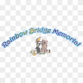 Rainbow Bridge Dog Angel Png, Transparent Png