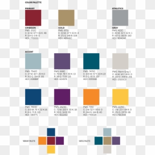 Don't Use Accent Colors Alone Or Substitute Different - Graphics, HD Png Download