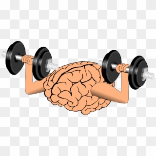 Brain Training Clip Art - Brain Lifting Weights Png, Transparent Png