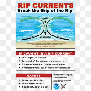 About Rip Currents - Rip Current Break The Grip, HD Png Download