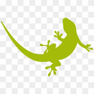 Lizard PNG Transparent For Free Download - PngFind