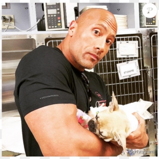 The Rock Png - Iphone 6 Dwayne Johnson, Transparent Png - 763x1048(#18444)  - PngFind