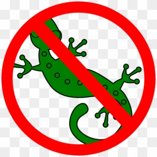 No Lizards Clip Art - No Lizard Png, Transparent Png