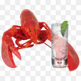 Lobster Download Transparent Png Image - Lobster Holding A Drink, Png Download