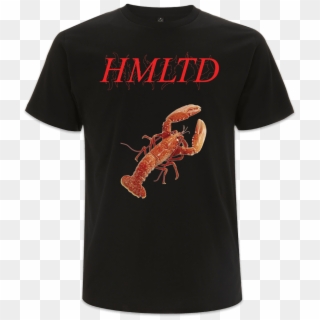 Lobster - Shrimp, HD Png Download