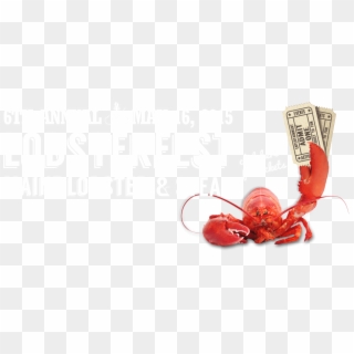 Cropped-lobsterfest Promo - Seafood Boil, HD Png Download