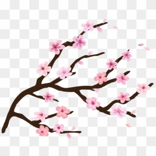 Como Pintar Un Cerezo Japones En La Pared - Transparent Background Cherry Blossom Clipart, HD Png Download
