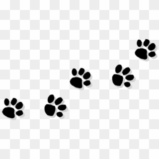 Cat Paw Bulldog Puppy Clip Art - Cat Paw Print Transparent Background, HD Png Download
