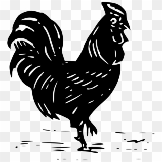 Cock Or Rooster - Cocks Black And White Png, Transparent Png