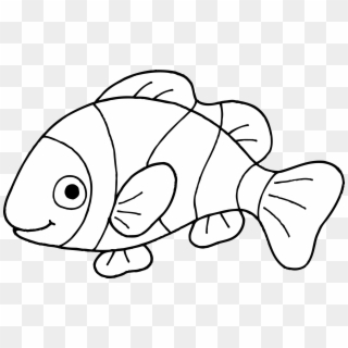 Outline Of Clown Fish, HD Png Download