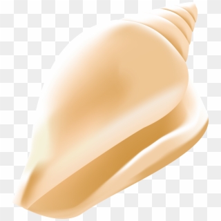 Shell Png , Png Download, Transparent Png