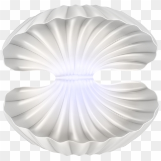 Scallop, HD Png Download