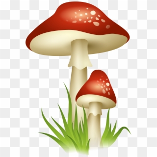 Mushrooms Transparent Png Picture - Mushroom Clipart Png, Png Download