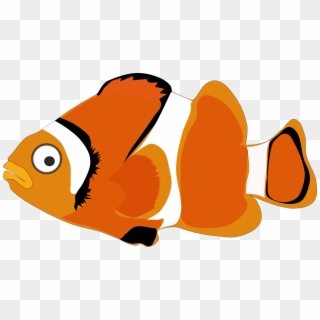 Ikan Nemo Png - Warna Gambar Ikan Mas, Transparent Png