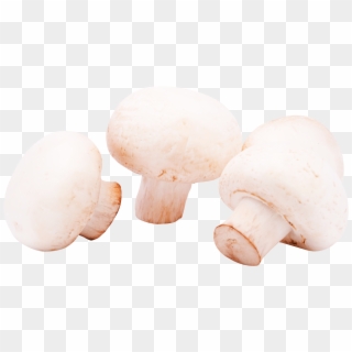 Mushrooms Png Image, Transparent Png