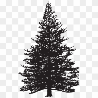 Pine Tree Silhouette Clip Art Image - Pine Tree Silhouette Png, Transparent Png