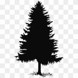 Pine Tree Tree Silhouette And Clip Art On 2 - Pine Tree Silhouette Png, Transparent Png