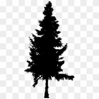 Pine Tree Silhouette Png - Silhouette Tree Transparent Bg, Png Download