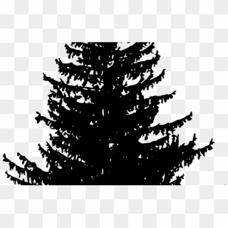 15 Vector Trees Png For Free Download On Mbtskoudsalg - Pine Trees Silhouette Png, Transparent Png