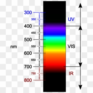 Visible Light Spectrum - One Photon Vs Two Photons, HD Png Download