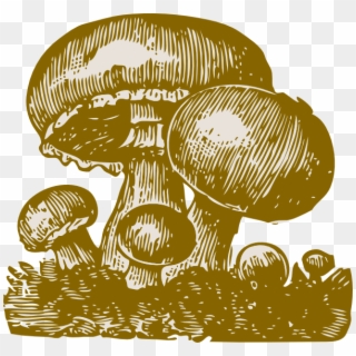 Mushrooms Png, Transparent Png