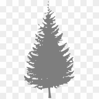 How To Draw A Christmas Tree, Stencil 7 Christmas Tree - Black And White Pine Tree Clipart, HD Png Download
