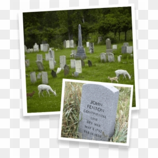 The Site Is Maintained By A Private Group, The First - White Deer Of Seneca Army Depot, HD Png Download