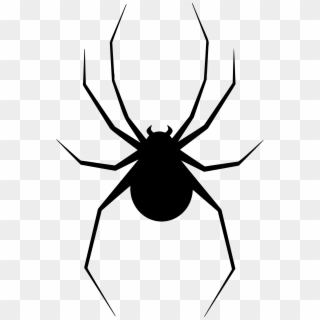 Black Widow Spider Silhouette, HD Png Download