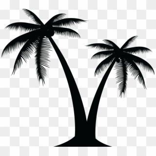 Palm Silhouette At Getdrawings Com Free For Ⓒ - Coconut Tree Logo Vector Png, Transparent Png