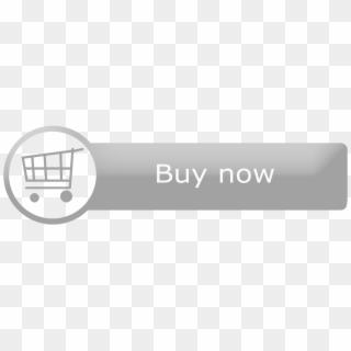 Png Image Information - Buy Now Button Silver, Transparent Png