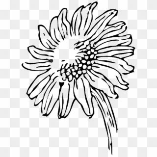 Sunflowers Clip Art Black And White , Png - Sunflower Black And White Clipart, Transparent Png