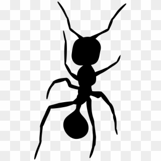 This Free Icons Png Design Of Ant Silhouette 2, Transparent Png