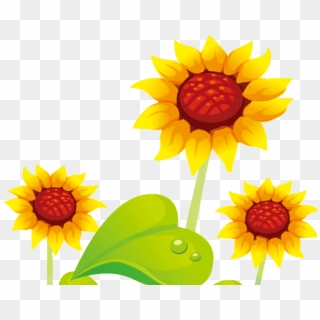 Common Sunflower Cartoon Cute Flowers Transprent Png - Yellow Png Flower Cute, Transparent Png