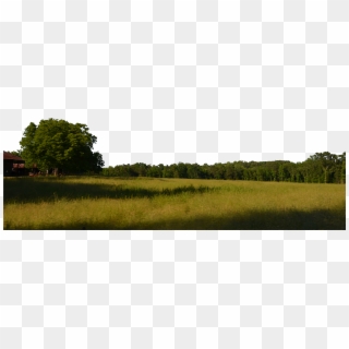 G-2897511855, Tree In A Field - Trees Background Png, Transparent Png