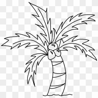 Drawn Palm Tree Line - Easy Simple Coconut Tree Drawing, HD Png Download