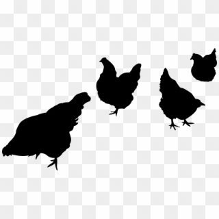 Chickensilhouettes - Farm Animal Silhouette Png, Transparent Png