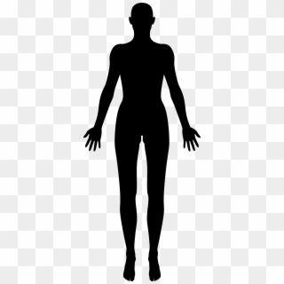 Female Body Silhouette Big Image Png Ⓒ - Human Body Silhouette Png, Transparent Png