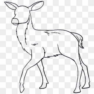 How To Draw A In Few Easy - Draw A Deer, HD Png Download