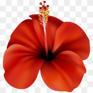 Red Flower Png Clip Art, Transparent Png