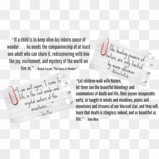 Nfk Quotes - “ - Quotation, HD Png Download