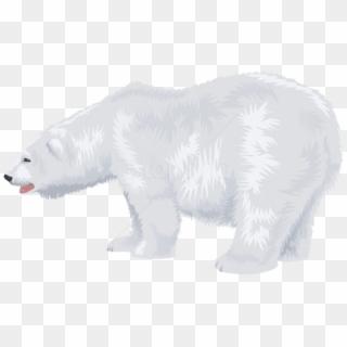Free Png Download White Polar Bear Transparent Png - Transparent Background Clip Art Polar Bear, Png Download