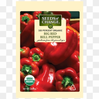 Organic Big Red Sweet Pepper Seeds - Usda Organic, HD Png Download