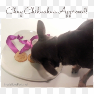 Chuy Chihuahua Approved - Dog Licks, HD Png Download