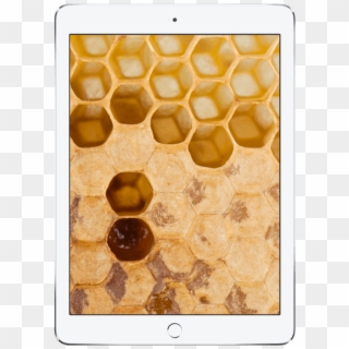 Ipad - Honeycomb, HD Png Download