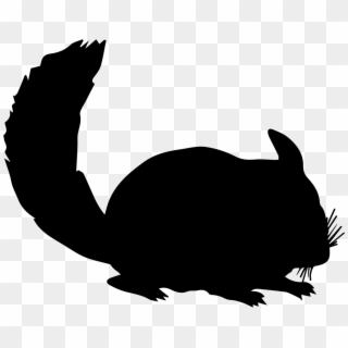 Png File Svg - Silhouette Chinchilla, Transparent Png