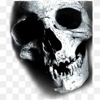 Are You Ready - Skull, HD Png Download
