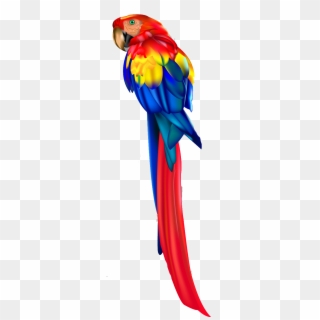 Parrot Vector Png, Transparent Png
