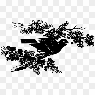 On A Branch Png - Clip Art, Transparent Png