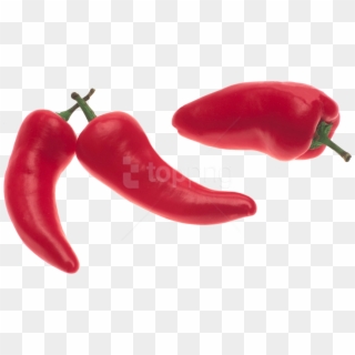 Free Png Download Red Pepper Png Images Background - Chilli Pepper Png, Transparent Png